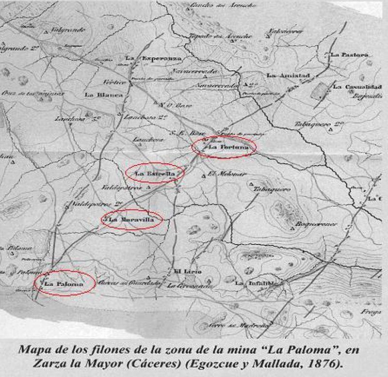 Zona Azul Zarza la Mayor ☆ GUIA 2024